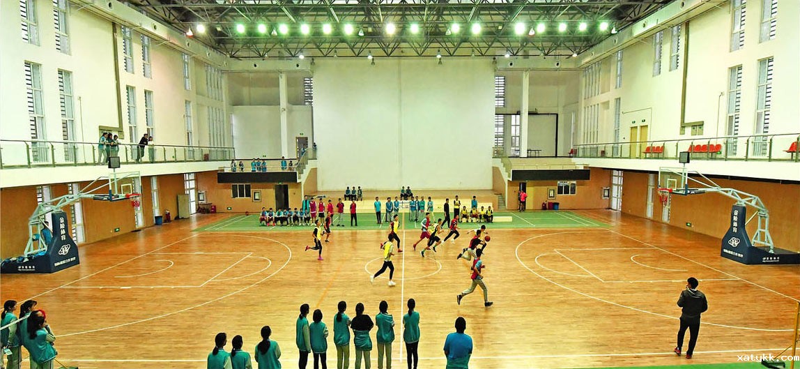 体育馆