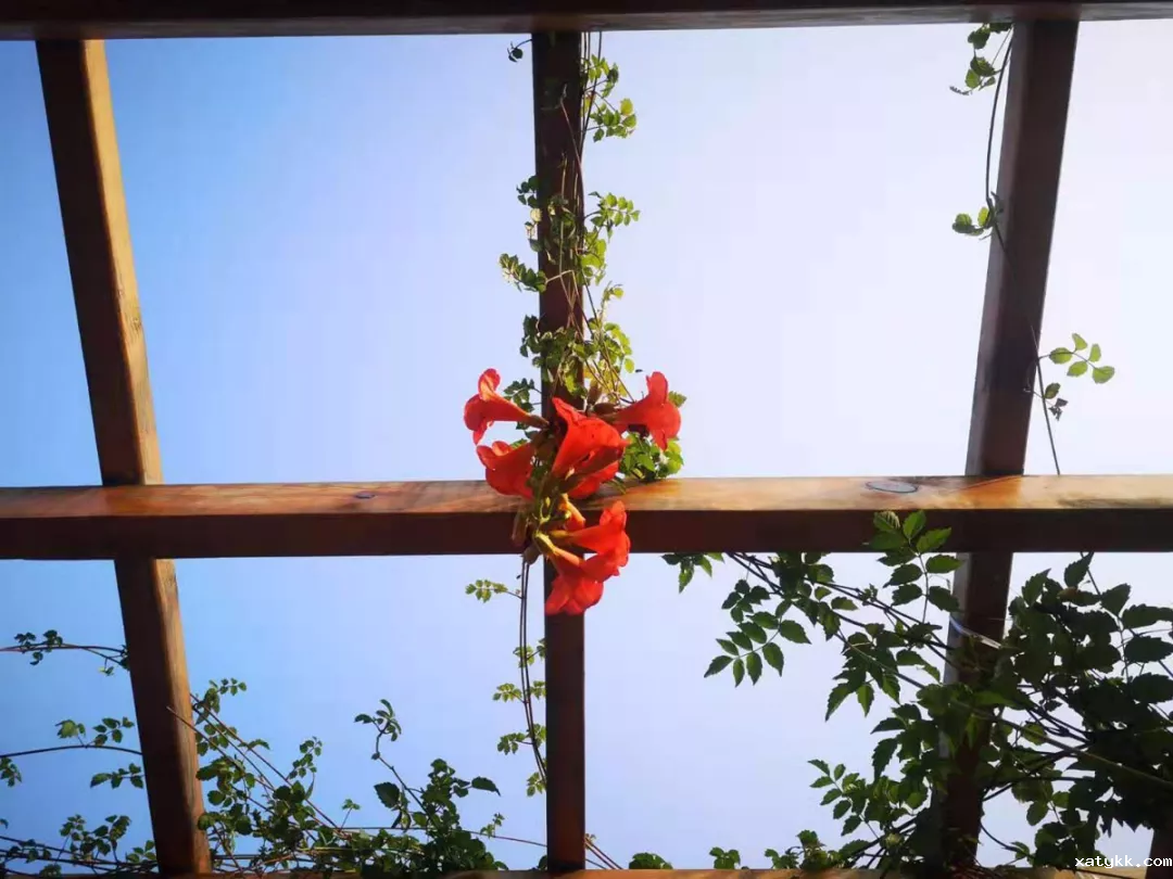 1581339153167824.png 1581339153167824.png