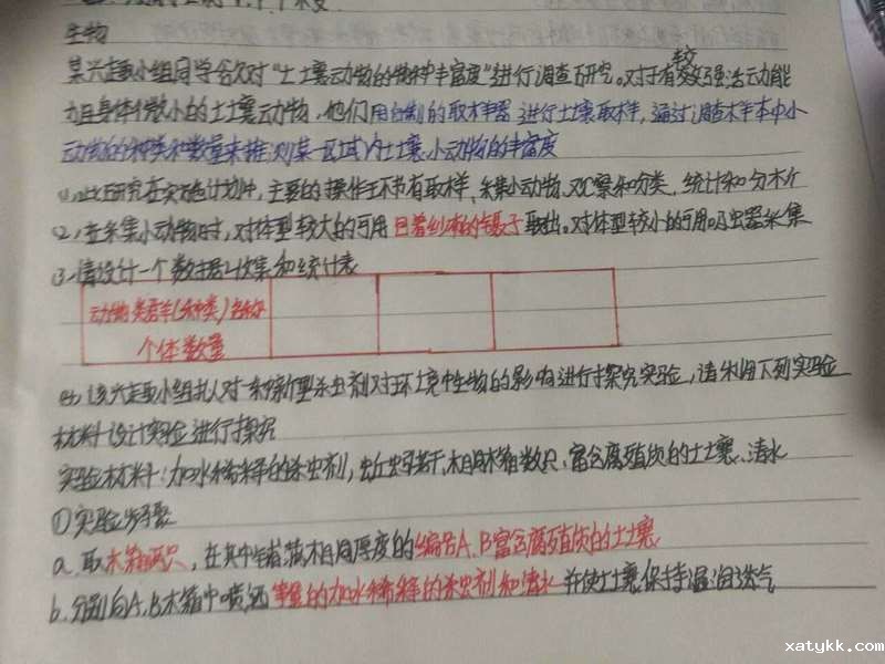 高一11班 邵馨瑜1 (复制).jpg