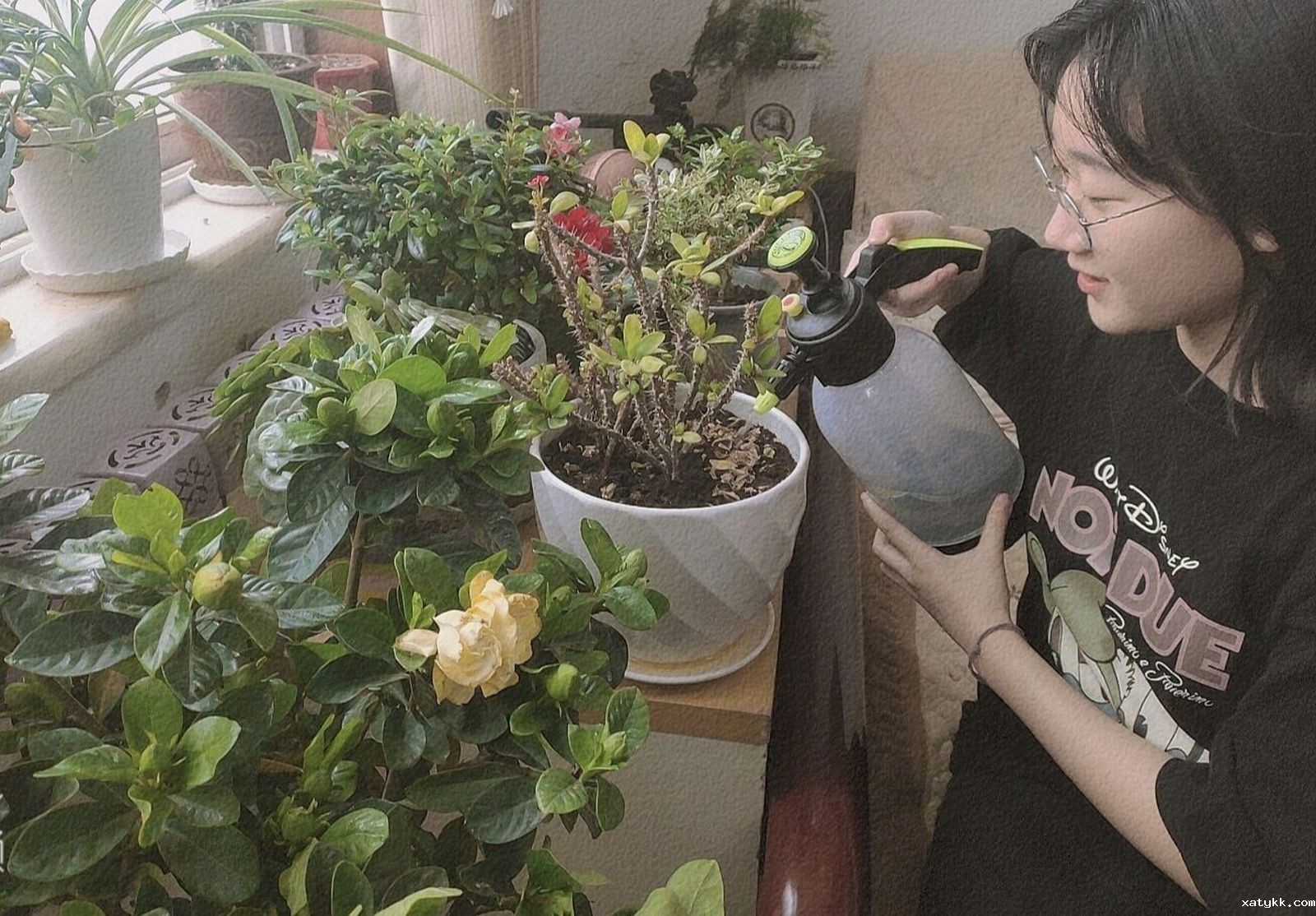 1586437258913995.jpg 7、高一5班黄佳鑫在养护花卉 (1) (复制).jpg