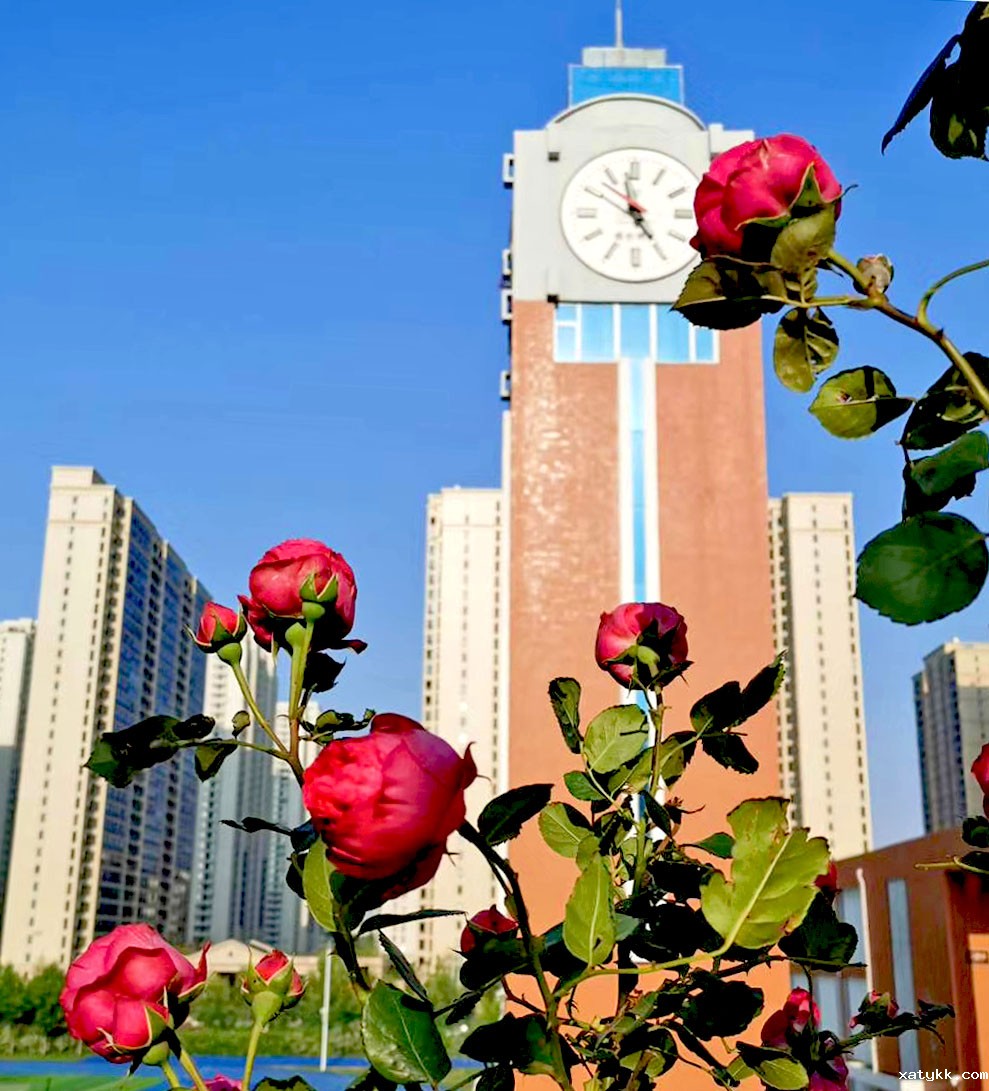 1588238809124366.jpg 微信图片_20200430153841.jpg