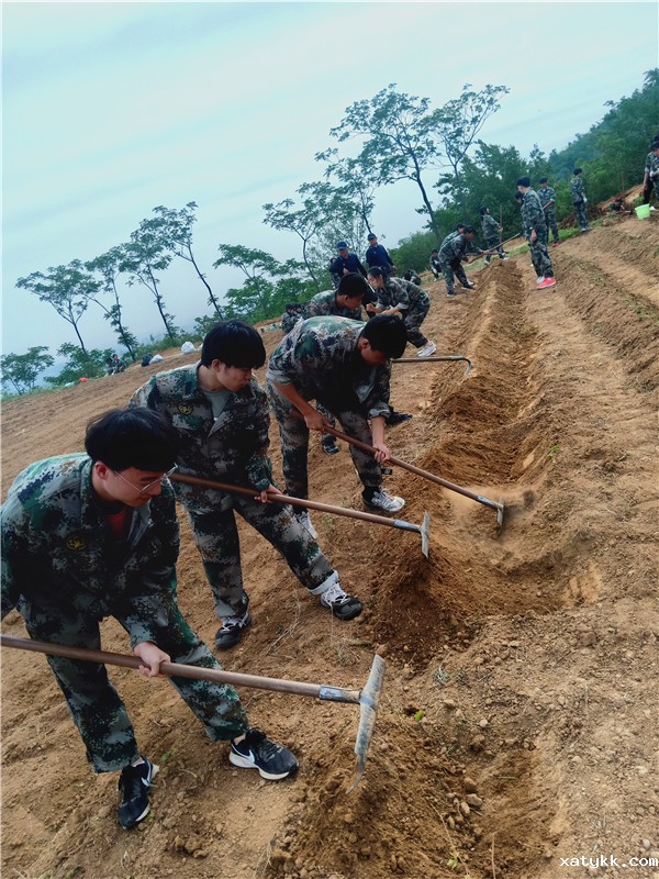 1622253184354710.jpg 农事体验:大家一起来耕田!.jpg